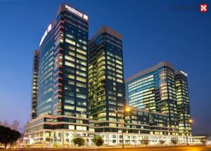 WhatsApp Image 2025-10-08 at 3.44.23 PM